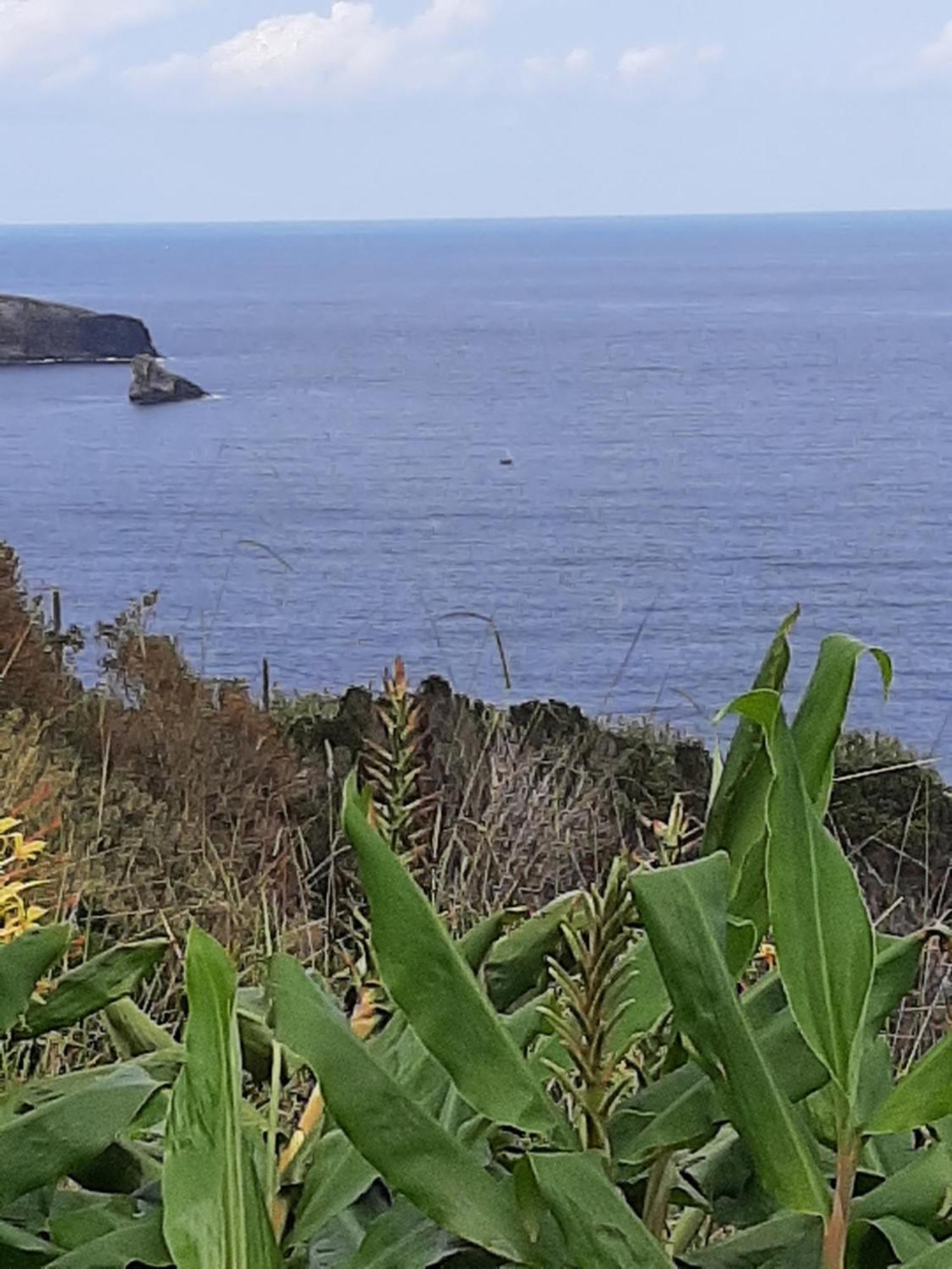 Apartament Casa Vicente Santa Cruz das Flores Zewnętrze zdjęcie